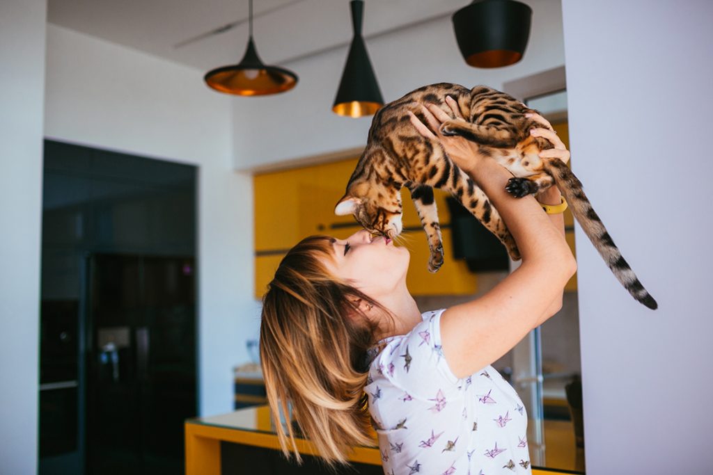 Dicas para bombar o perfil do seu Petshop nas redes sociais - Leandro  Monteiro